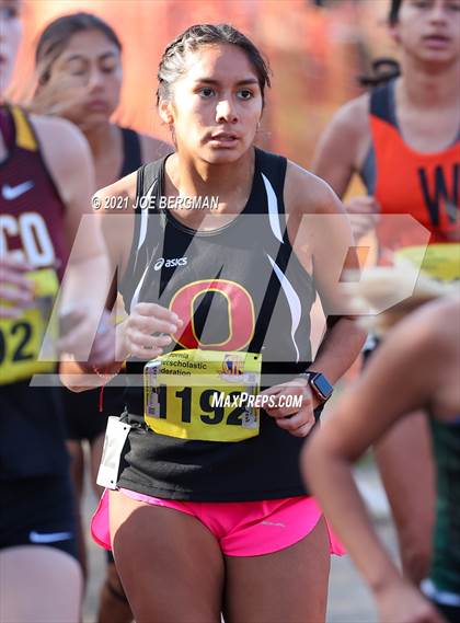 Thumbnail 1 in CIF State Cross Country Championships (Girls D3 Race) photogallery.