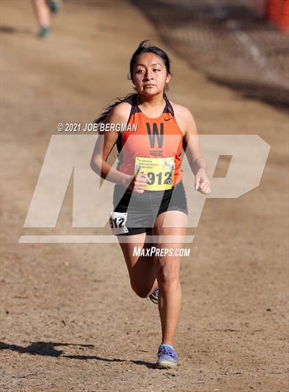 Thumbnail 1 in CIF State Cross Country Championships (Girls D3 Race) photogallery.
