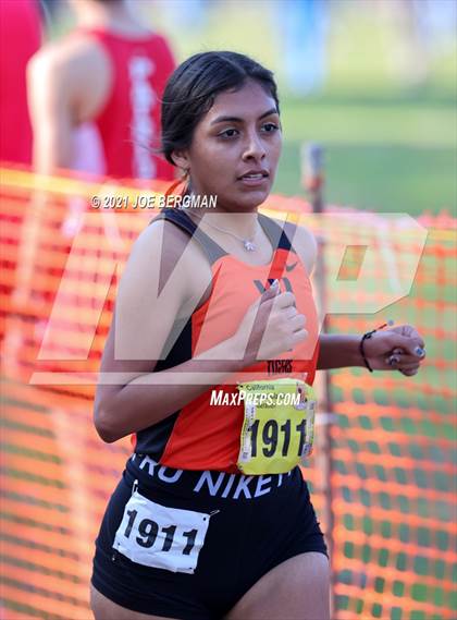 Thumbnail 3 in CIF State Cross Country Championships (Girls D3 Race) photogallery.