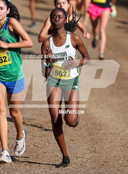 Thumbnail 1 in CIF State Cross Country Championships (Girls D3 Race) photogallery.
