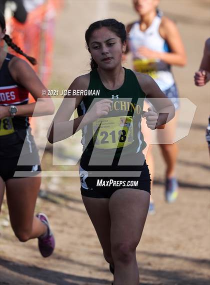 Thumbnail 3 in CIF State Cross Country Championships (Girls D3 Race) photogallery.