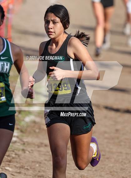 Thumbnail 2 in CIF State Cross Country Championships (Girls D3 Race) photogallery.