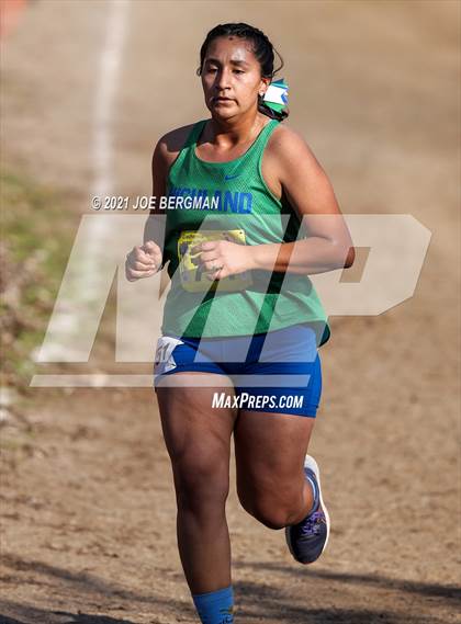 Thumbnail 3 in CIF State Cross Country Championships (Girls D3 Race) photogallery.