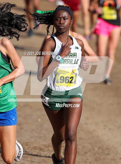 Thumbnail 2 in CIF State Cross Country Championships (Girls D3 Race) photogallery.