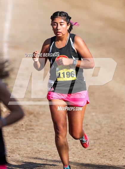 Thumbnail 3 in CIF State Cross Country Championships (Girls D3 Race) photogallery.