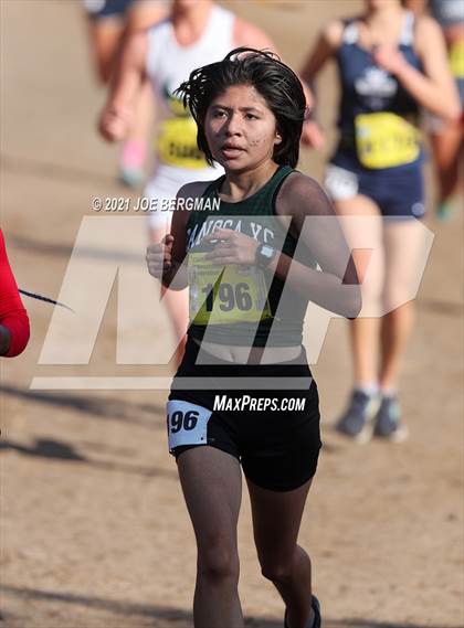 Thumbnail 2 in CIF State Cross Country Championships (Girls D3 Race) photogallery.
