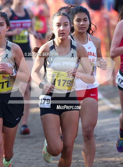 Thumbnail 1 in CIF State Cross Country Championships (Girls D3 Race) photogallery.