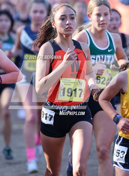 Thumbnail 1 in CIF State Cross Country Championships (Girls D3 Race) photogallery.