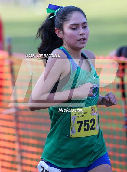 Thumbnail 3 in CIF State Cross Country Championships (Girls D3 Race) photogallery.