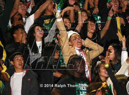 Thumbnail 3 in Sheldon @ Monterey Trail photogallery.