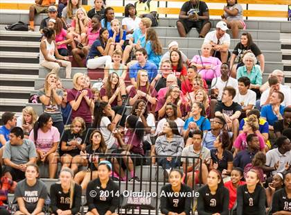 Thumbnail 3 in Sachse @ Wylie photogallery.