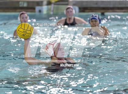 Thumbnail 1 in Mayfield @ Venice photogallery.