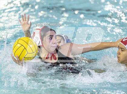 Thumbnail 1 in Mayfield @ Venice photogallery.