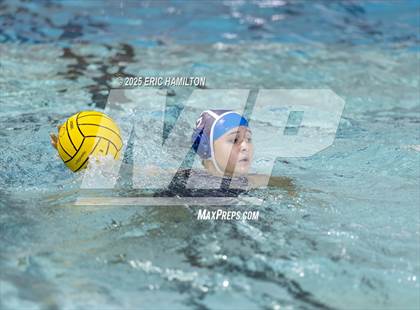 Thumbnail 2 in Mayfield @ Venice photogallery.