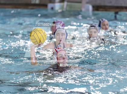 Thumbnail 1 in Mayfield @ Venice photogallery.