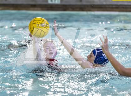 Thumbnail 1 in Mayfield @ Venice photogallery.