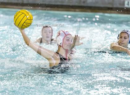 Thumbnail 2 in Mayfield @ Venice photogallery.