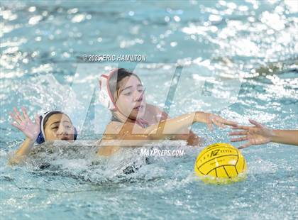 Thumbnail 2 in Mayfield @ Venice photogallery.