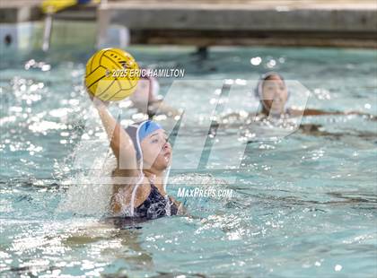 Thumbnail 3 in Mayfield @ Venice photogallery.