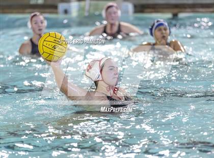 Thumbnail 3 in Mayfield @ Venice photogallery.