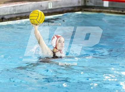 Thumbnail 2 in Mayfield @ Venice photogallery.