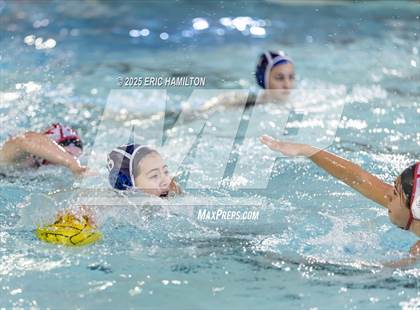 Thumbnail 1 in Mayfield @ Venice photogallery.