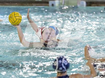 Thumbnail 2 in Mayfield @ Venice photogallery.