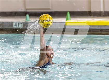 Thumbnail 2 in Mayfield @ Venice photogallery.