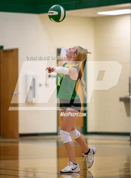 Thumbnail 1 in Alba-Golden @ Harleton photogallery.