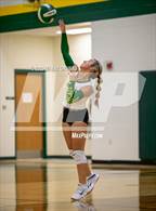 Photo from the gallery "Alba-Golden @ Harleton"