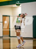 Photo from the gallery "Alba-Golden @ Harleton"