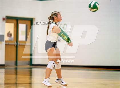 Thumbnail 3 in Alba-Golden @ Harleton photogallery.