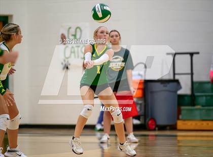 Thumbnail 2 in Alba-Golden @ Harleton photogallery.