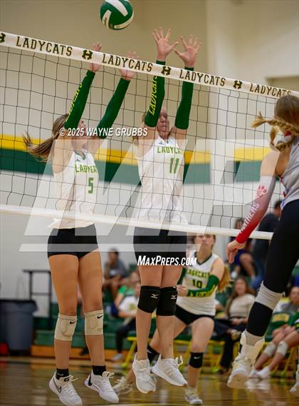 Thumbnail 3 in Alba-Golden @ Harleton photogallery.