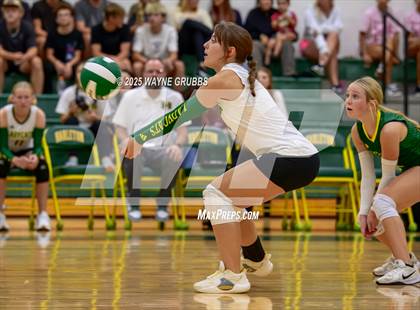 Thumbnail 1 in Alba-Golden @ Harleton photogallery.