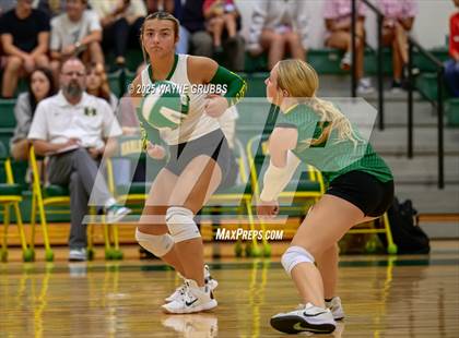Thumbnail 2 in Alba-Golden @ Harleton photogallery.