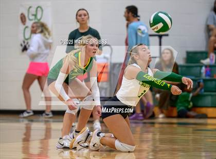 Thumbnail 3 in Alba-Golden @ Harleton photogallery.