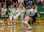 Photo from the gallery "Alba-Golden @ Harleton"