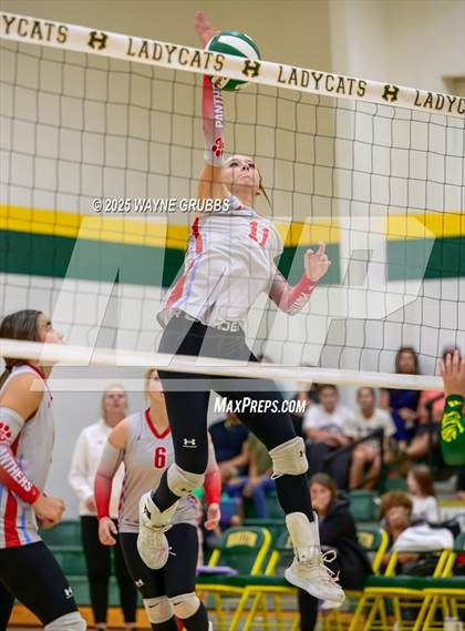 Thumbnail 3 in Alba-Golden @ Harleton photogallery.