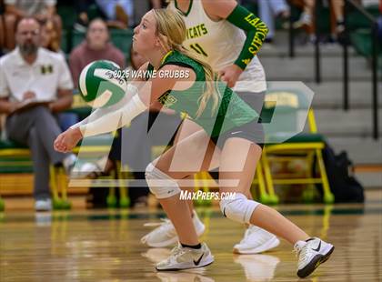 Thumbnail 1 in Alba-Golden @ Harleton photogallery.