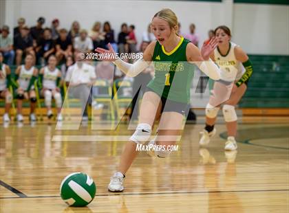 Thumbnail 2 in Alba-Golden @ Harleton photogallery.