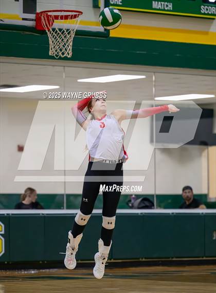 Thumbnail 3 in Alba-Golden @ Harleton photogallery.