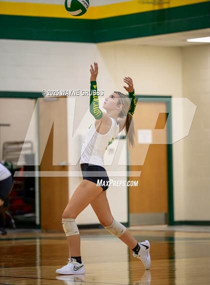 Thumbnail 3 in Alba-Golden @ Harleton photogallery.