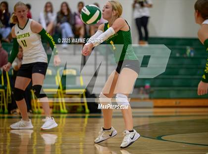 Thumbnail 3 in Alba-Golden @ Harleton photogallery.