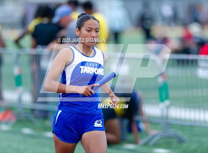 Thumbnail 3 in Thibodaux(Tiger Relays) photogallery.