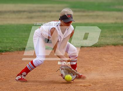 Thumbnail 3 in Chisholm @ Kingfisher photogallery.