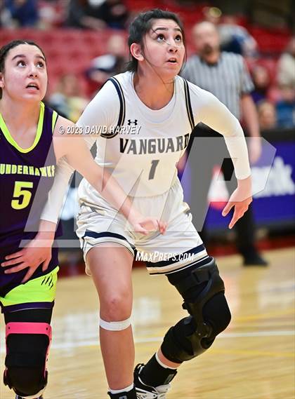 Thumbnail 2 in (CHSAA 3A Round 2 Girls Basketball) Ellicott vs Vanguard  photogallery.