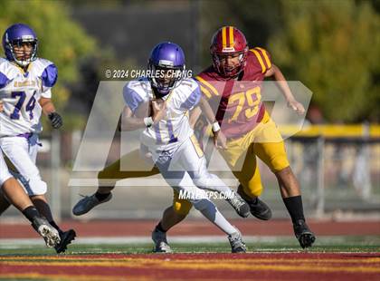 Thumbnail 1 in Armijo @ Cardinal Newman photogallery.