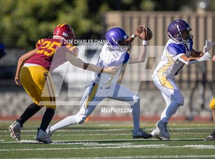 Thumbnail 1 in Armijo @ Cardinal Newman photogallery.