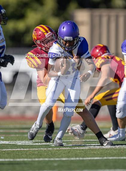 Thumbnail 1 in Armijo @ Cardinal Newman photogallery.